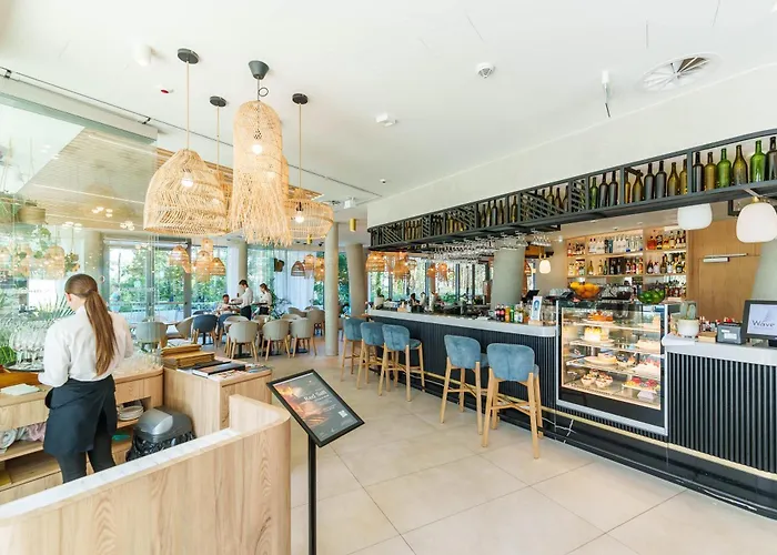 Waves - Visitopl 米兹多洛杰